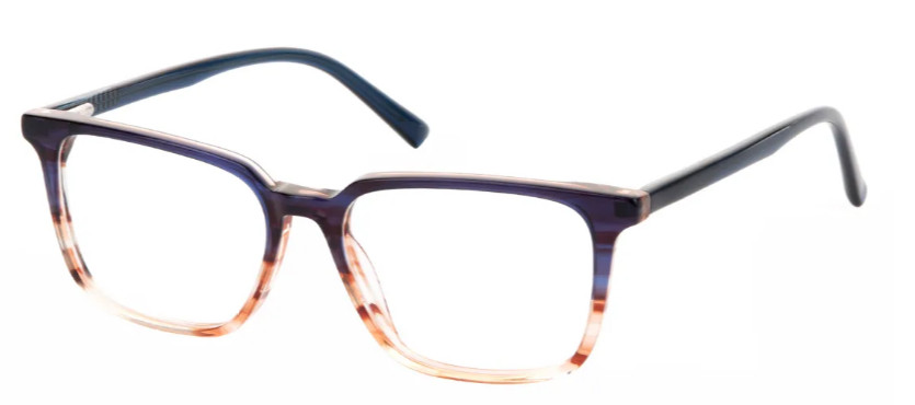 Square Blue-Tortoiseshell Glasses E08367B Square Blue-Tortoiseshell Glasses E08367B