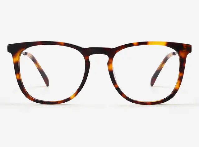 Tortoiseshell Glasses