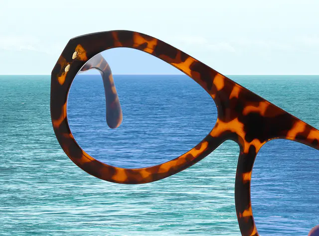 Polarized Lenses
