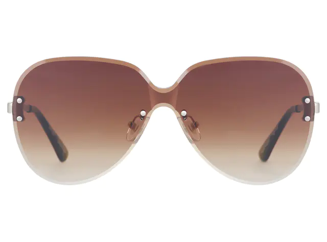 Brown Sunglasses