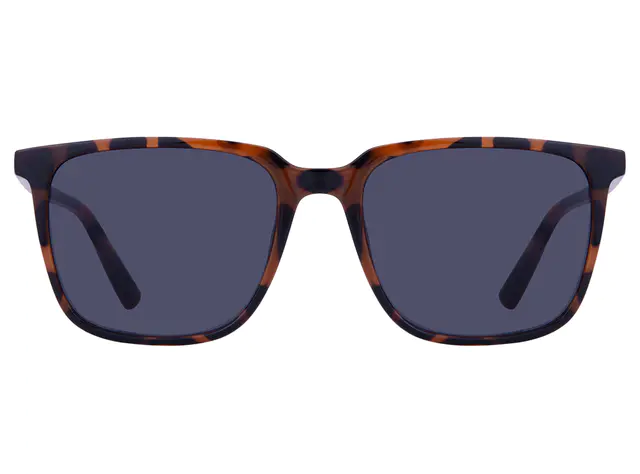Tortoiseshell Sunglasses