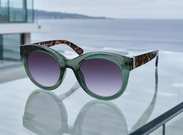 Plastic Sunglasses
