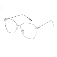 Geometric Silver Eyeglasses