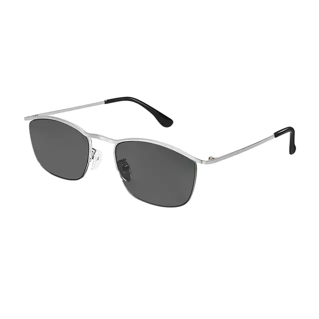 Browline Silver Sunglasses