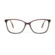 Rectangle Brown Eyeglasses