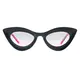 Cat-eye Black Sunglasses