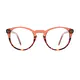 Oval Orange/Tortoiseshell Eyeglasses