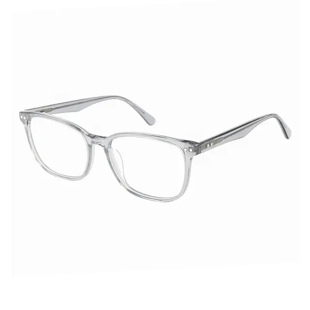 Rectangle Transparent Gray Eyeglasses