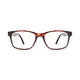 Rectangle Tortoiseshell Eyeglasses