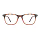 Rectangle Tortoiseshell/Brown Eyeglasses