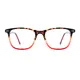Rectangle Tortoiseshell/Red Eyeglasses
