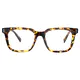 Square Tortoiseshell Eyeglasses