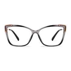 Rectangle Transparent Gray Eyeglasses
