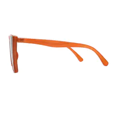 Cat-eye Light Brown Sunglasses