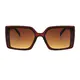 Square Light Brown Sunglasses