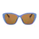 Cat-eye Transparent Blue Sunglasses