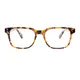Rectangle Tortoiseshell Eyeglasses