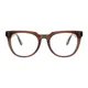 Square Transparent Brown Eyeglasses