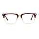 Browline Wine/Gold Eyeglasses