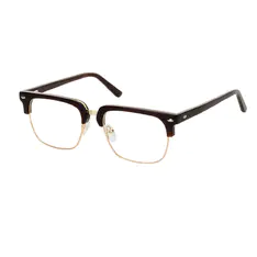 Browline Brown/Gold Eyeglasses