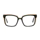 Square Black/Brown Eyeglasses