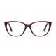 Square Transparent Brown Eyeglasses