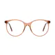 Round Transparent Brown Eyeglasses