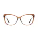 Square Transparent Brown Eyeglasses
