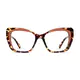 Square Brown/Tortoiseshell Eyeglasses