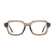 Rectangle Transparent Brown Eyeglasses