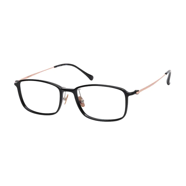 Rectangle Black Eyeglasses