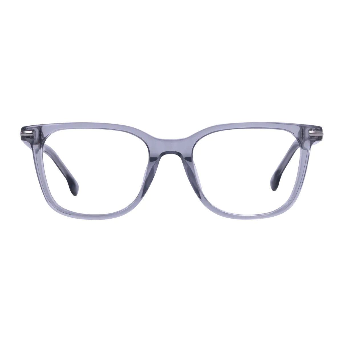 Rectangle Transparent Gray Eyeglasses