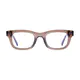Rectangle Transparent Brown Eyeglasses