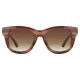 Oval Brown Sunglasses