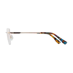 Cat-eye Gold Eyeglasses