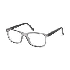 Rectangle Transparent Gray Eyeglasses