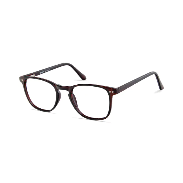 Rectangle Transparent Brown Eyeglasses