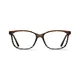 Square Brown/Black Eyeglasses