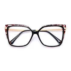 Square Tortoiseshell/Black Eyeglasses
