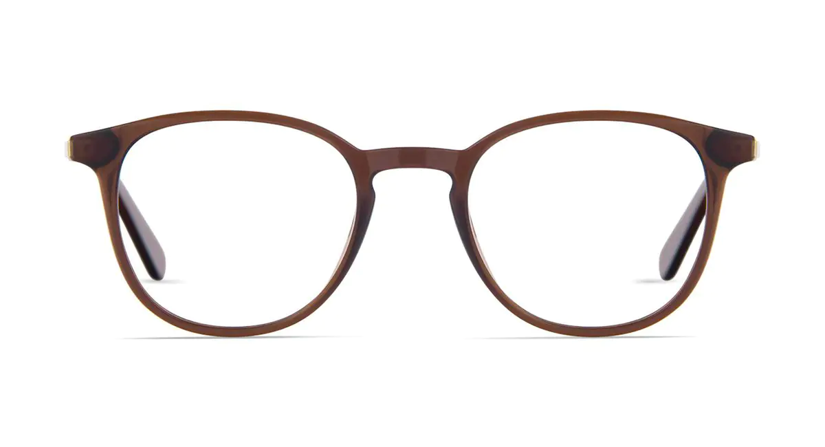 Round Brown/Gold Eyeglasses