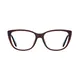 Oval Transparent Brown Eyeglasses
