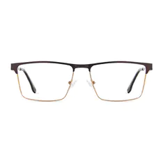 Browline Brown/Gold Eyeglasses