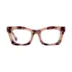 Square  Tortoiseshell Eyeglasses