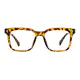 Square Tortoiseshell Eyeglasses