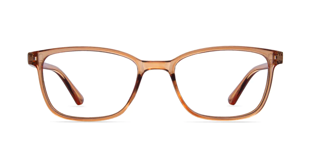 Rectangle Light Brown Eyeglasses