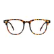 Square Tortoiseshell Eyeglasses