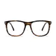 Square Striped Eyeglasses