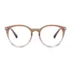 Round  Transparent Brown Eyeglasses