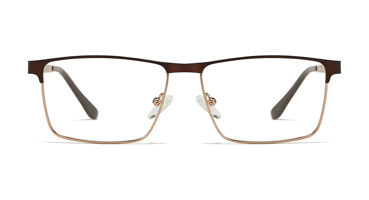 BrowlineBrown/Gold Eyeglasses