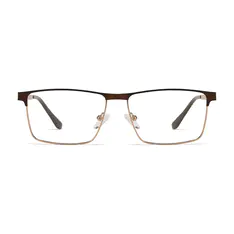 BrowlineBrown/Gold Eyeglasses